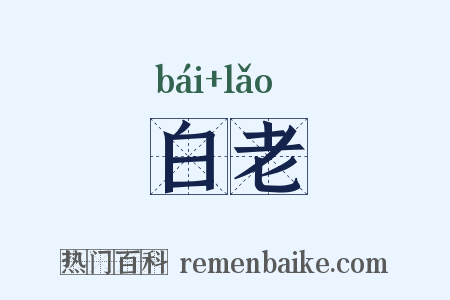 白老是什么意思的图片